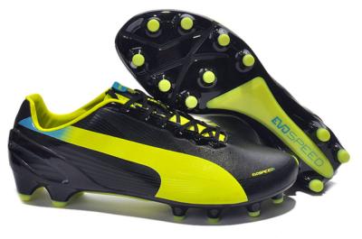 Cheap Puma Football shoes wholesale No. 12